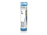 Euphrasia officinalis 9CH granule 1x4g