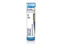 Euphrasia officinalis 9CH granule 1x4g