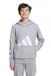 Dětská mikina adidas šedá barva, s kapucí, s potiskem, JV9900