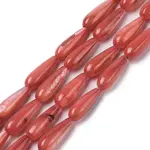 Natural Freshwater Shell Beads Strands