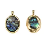 Synthetic Abalone Shell/Paua Shell Pendants