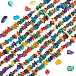 2 Strands Natural Freshwater Shell Dyed Beads Strands