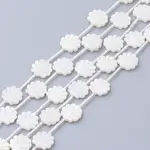 Natural White Shell Beads