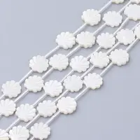 Natural White Shell Beads
