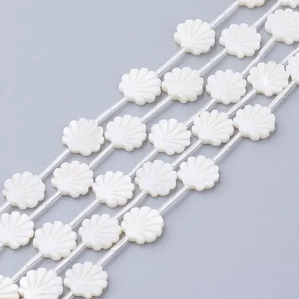 Natural White Shell Beads