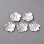 Natural White Shell Mother of Pearl Shell Beads