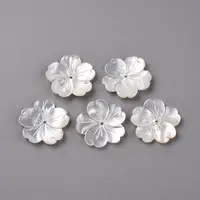 Natural White Shell Mother of Pearl Shell Beads