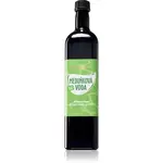 Purity Vision Meduňková voda BIO bylinná voda 1000 ml