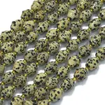 Natural Dalmatian Jasper Beads Strands