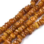 Natural Trochid Shell/Trochus Shell Beads Strands