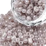 6/0 Glass Seed Beads