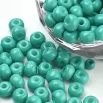 Baking Paint 6/0 Glass Seed Beads