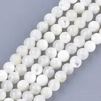 Natural White Shell Beads