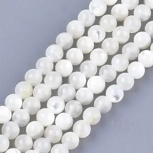 Natural White Shell Beads