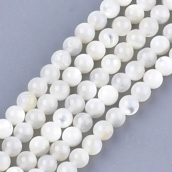 Natural White Shell Beads