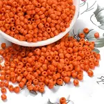 6/0 Glass Seed Beads