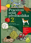 Pracovní sešit předškoláka 2 (Příprava dítěte na úspěšný start ve škole) - kniha z kategorie Úkoly pro děti