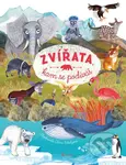 Zvířata, kam se podíváš - Olga Pohl, Alena Schulzová (ilustrátor) - kniha z kategorie Naučné knihy