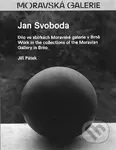 Jan Svoboda - Jiří Pátek - kniha z kategorie Fotografie