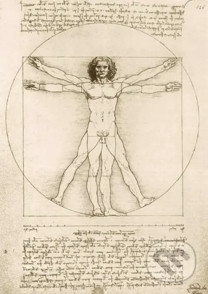 Leonardo Da Vinci - The Vitruvian Man, 1490 - puzzle z kategorie Umělecké