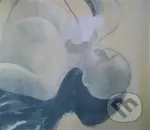 Zdena Strobachová (katalog výstavy Klatovy) - Lucie Šiklová - kniha z kategorie Malířství