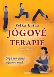Velká kniha jógové terapie - Remo Rittiner - kniha z kategorie Individuální sporty