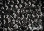 Haredim - Eliška Blažková - kniha z kategorie Fotografie