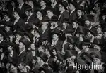 Haredim - Eliška Blažková