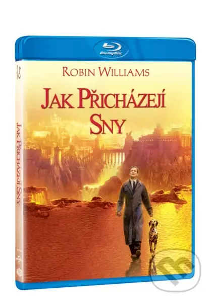 Jak přicházejí sny - Vincent Ward - film z kategorie Rodinné a romantické