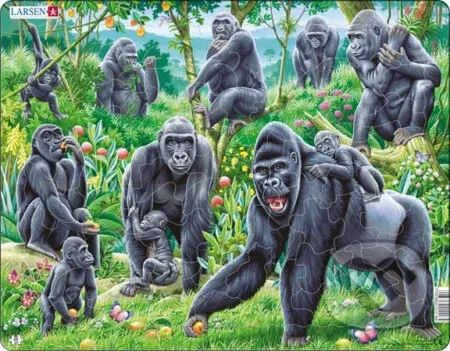 Gorily (FH18) - puzzle z kategorie Naučné puzzle