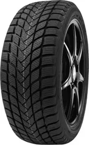 DELINTE 245/45 R 18 100V WINTER_WD6 TL XL M+S 3PMSF RPB DELINTE