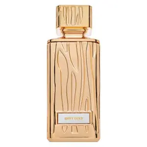 Hamidi Envy Gold parfémovaná voda pro ženy 100 ml