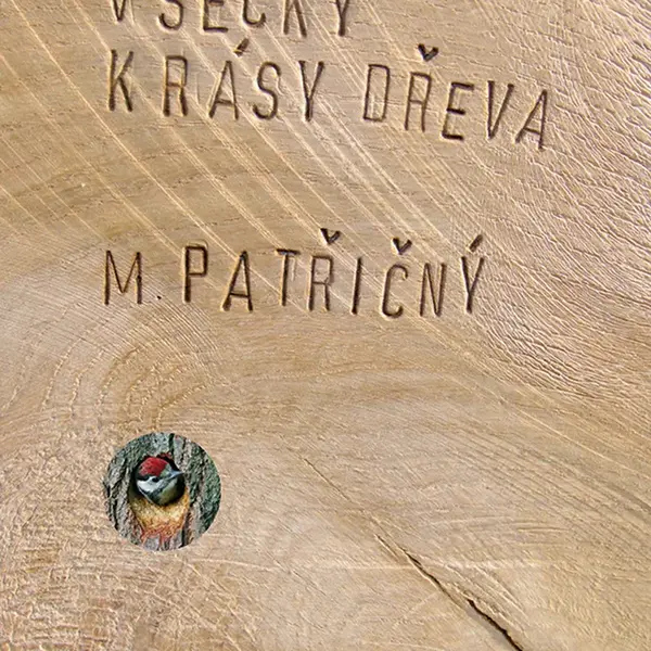 Kniha: Všecky krásy dřeva od Patřičný Martin