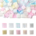 100Pcs 10 Styles 2-Hole Glass Seed Beads