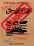 Banned! - Monika Johnson