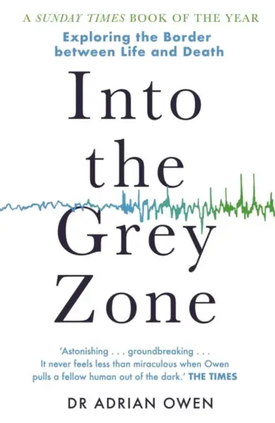 Into the Grey Zone - Owen Adrian