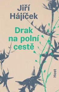 Drak na polní cestě (poškozené) - Jiří Hájíček