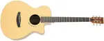 Tanglewood TM4CE