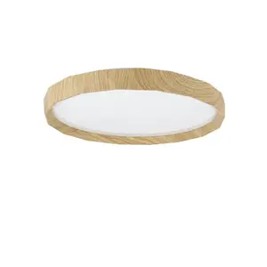 Nettlife STROPNÍ LED svítidlo Richard, 40 cm