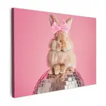 MuchoWow OBRAZ NA PLÁTNĚ Luk - Discoball - Králík 40x30 cm