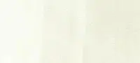 Copic Ink – W00 Warm Gray 00