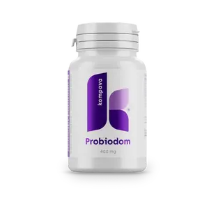 KOMPAVA Probiodom 400 mg 60 kapslí
