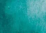Akvarelová barva DS 1/2 – 029 Cobalt Turquoise
