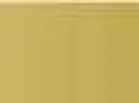 Pastel Caran d'Ache Neocolor II 499 Gold
