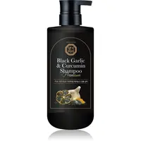 DAENG GI MEO RI Black Garlic & Curcumin Shampoo hloubkově regenerační šampon pro růst vlasů a posílení od kořínků 500 ml