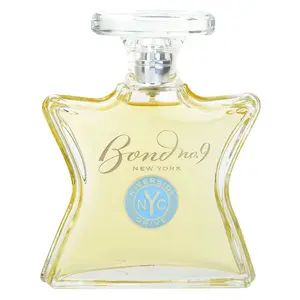 Bond No. 9 Uptown Riverside Drive parfémovaná voda pro muže 100 ml