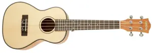 Cascha HH 2151 Concert Mahogany Ukulele Set