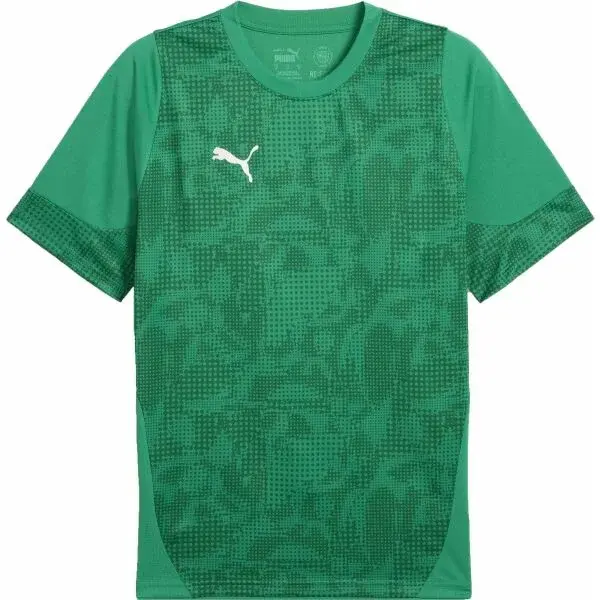 Puma TEAMCUP TRAINING JERSEY TEE Pánský dres, zelená, velikost