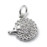 Brass Micro Pave Cubic Zirconia Charms