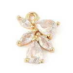 Brass Micro Pave Clear Cubic Zirconia Charms